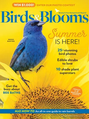 cover image of Birds & Blooms